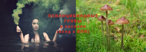 PSILOCYBIN Белоозёрский