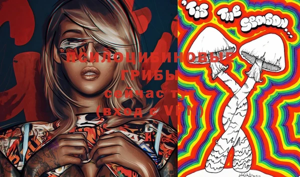 PSILOCYBIN Белоозёрский