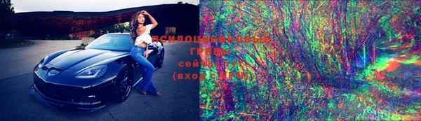 PSILOCYBIN Белоозёрский