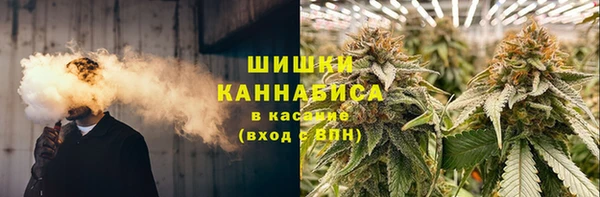 PSILOCYBIN Белоозёрский