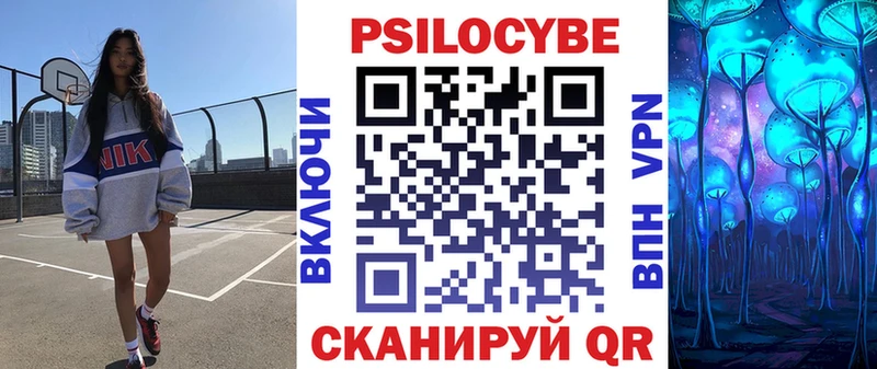 закладка Острогожск Псилоцибиновые грибы Psilocybine cubensis